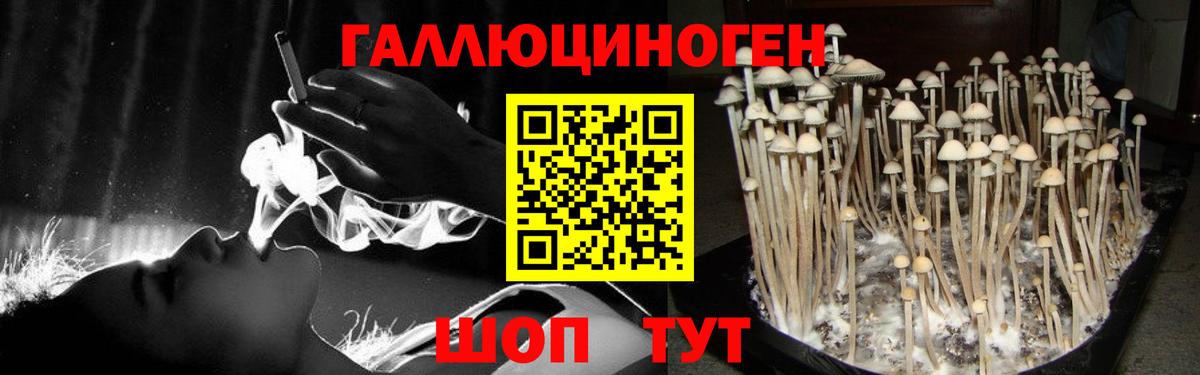 Дзержинск  Псилоцибиновые грибы MAGIC MUSHROOMS  Вход с VPN 
